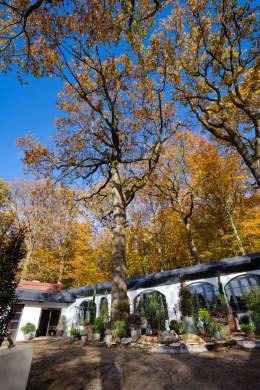 Terrasse de La Cabane Meudon entourée d’arbres en automne, restaurant en forêt avec vue sur le lac de Meudon