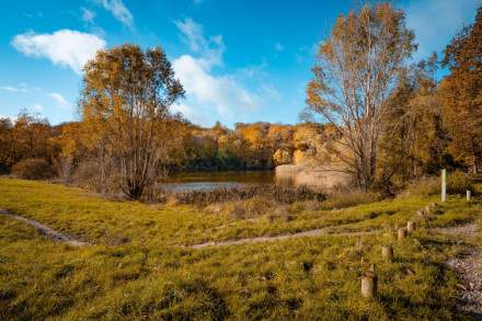 Vue sur le lac de Meudon entouré par la forêt, cadre naturel du restaurant La Cabane Meudon