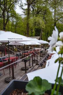 Brunch partagé entre amis à La Cabane Meudon, restaurant en pleine nature proposant des brunchs conviviaux à Meudon
