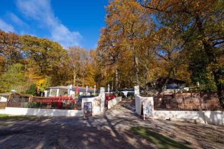 Vue extérieure de La Cabane Meudon en automne, restaurant en pleine forêt avec grande terrasse à Meudon