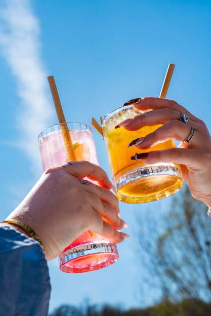 Chears sur la terrasse au soleil